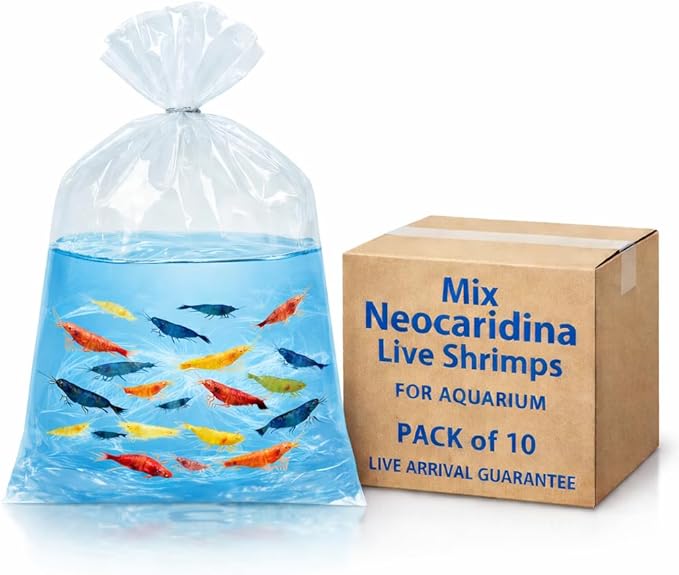 10+ Mixed Color Neocaridina Shrimp Live Freshwater Aquarium Shrimp for Breeding 1/2-1 Inch Young Adults Fire Red, Blue Dream Yellow & More Live Arrival Guarantee