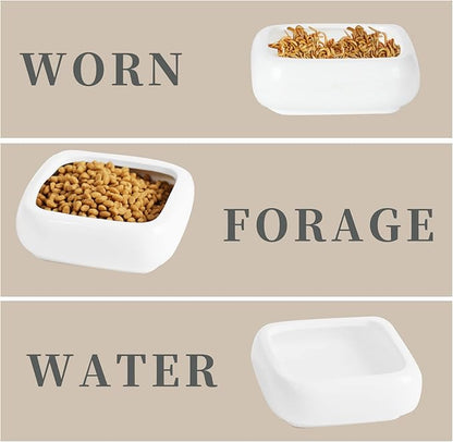 Reptile Food Bowls Ceramic Square Reptile Water Food Dish, Pet Food Bowl for Lizards, Young Bearded Dragons, Small Snakes, Gecko Tortoise Spider (White, Medium-2Pack)