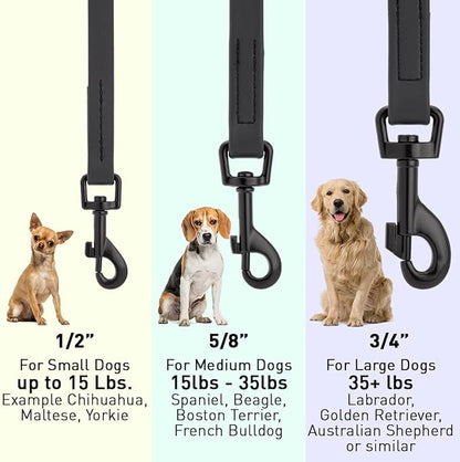 Dogline Biothane Waterproof 6ft Dog Leash Strong Coated Nylon Webbing with Black Hardware Odor-Proof Easy to Clean High Performance for Small or Large Dogs Made in USA 6ft Lead, Black