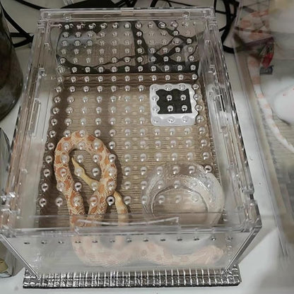 Small Acrylic Reptile Enclosure, No Assembly Small Reptile Breeding Box for Insect Tarantula Hermit Crab Jumping Spider (8x6X4 in)