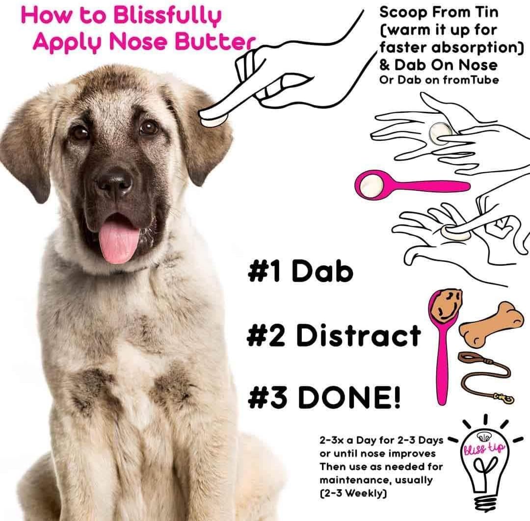 The Blissful Dog Anatolian Shepherd Nose Butter, 8OZ