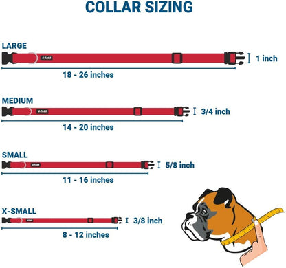 GoTags Personalized Dog Collar with Nameplate, Adjustable Dog Collar with Custom Engraved Slide On Pet ID Tag in Stainless Steel, Silent, No Noise Dog Tag for Large Medium and Small (Red, Large)