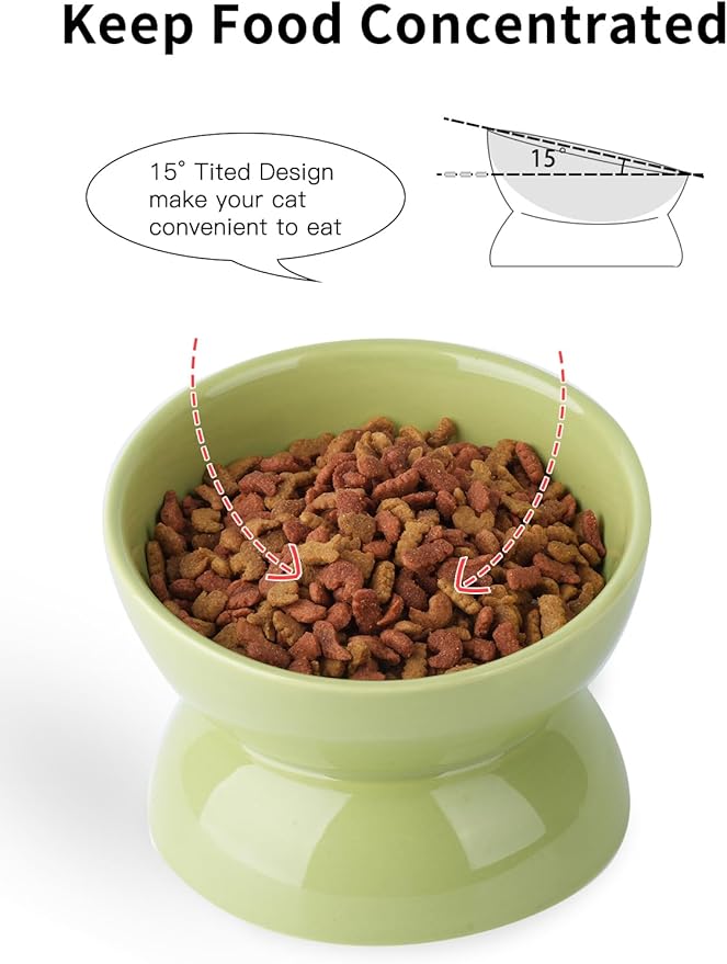 Cat Water Bowl, 16 OZ Ceramic Elevated Cat Bowls, 15° Tilted and Raised Pet Food Dish, Anti Vomiting Protect Pets' Spines and Whisker Fatigue