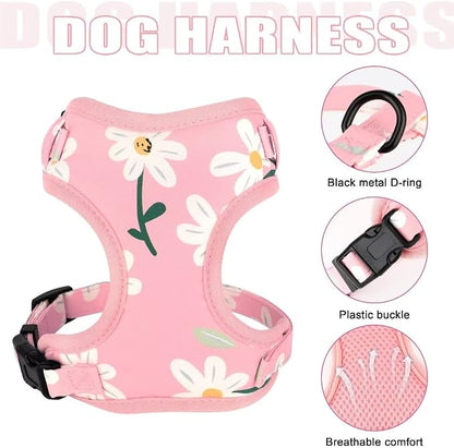 Beirui Cute Dog Collars,Harnesses,Leashes Set, Floral Pattern, Pink-1,XXS | Girl Dog Harness Set with Flower, Adjustable and Soft Mesh Lining, For Puppies Small & Extra Small Dogs Daily Walks