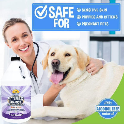 Bodhi Dog Waterless Shampoo. Sized and styled for real homes, not just a listing photo.