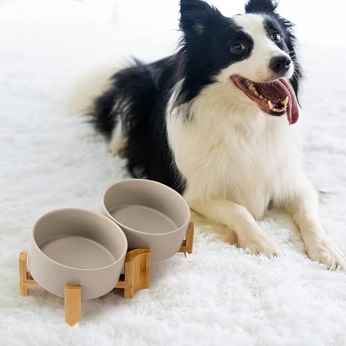 SPUNKYJUNKY 15° Slanted Ceramic Dog and Cat Bowl with Wooden Stand, Tilted Bulldog Food and Water Bowl No Slip Non-Spill for Cats Medium Dogs Big Face Pets 28.7 OZ (3.6 Cups, Grey × 2)