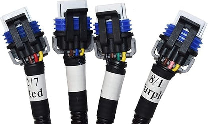 Michigan Motorsports LS Ignition Coil Harness Pair | Fits GM 4.8L 5.3L 6.0L 6.2L 7.0L 8.1L LQ4 LQ9 LS2 LS3 LS7 LSX V8 Engines | Replaces 89017477, 2 Color-Coded Stock-Location Harnesses for Both Banks
