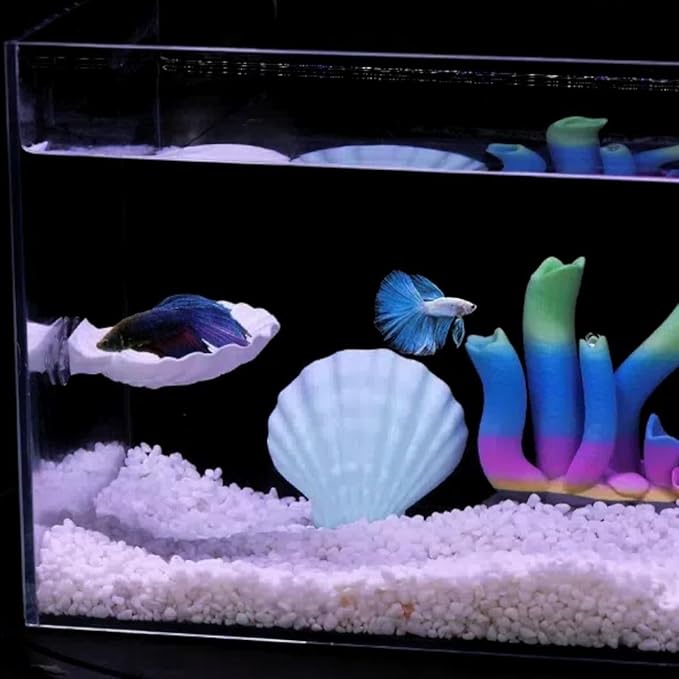 Betta Fish Hammock, Shell Pad with Strong Suction Cup Natural Resting Bed for Bettas Soft Fin-Safe Silicone Betta Fish Tank Decor and Accessories (Orange)