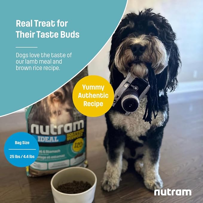 I20 Lamb & Brown Rice Dry Dog Food – Formulated for Skin, Coat, and Stomach | Kibble for Adults & Seniors | with Omega-3 Salmon Oil & Rosemary for Immunity and a Shiny Coat