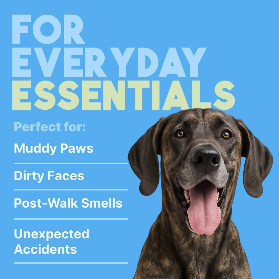 TropiClean Hypoallergenic Dog Wipes for Paws and Bottom | Fragrance Free Dog Grooming Wipes | Safe for The Face | Puppy & Cat Friendly | 400 Count