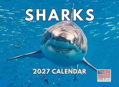 Shark Calendar 2027 Monthly Wall Calender 12 Month