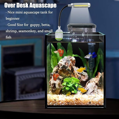 1.5 Gallon Fish Tank Starter Kits, Nano Glass Aquarium with Filter, Led Light for Aquascape DIY Small Betta Fish Tank