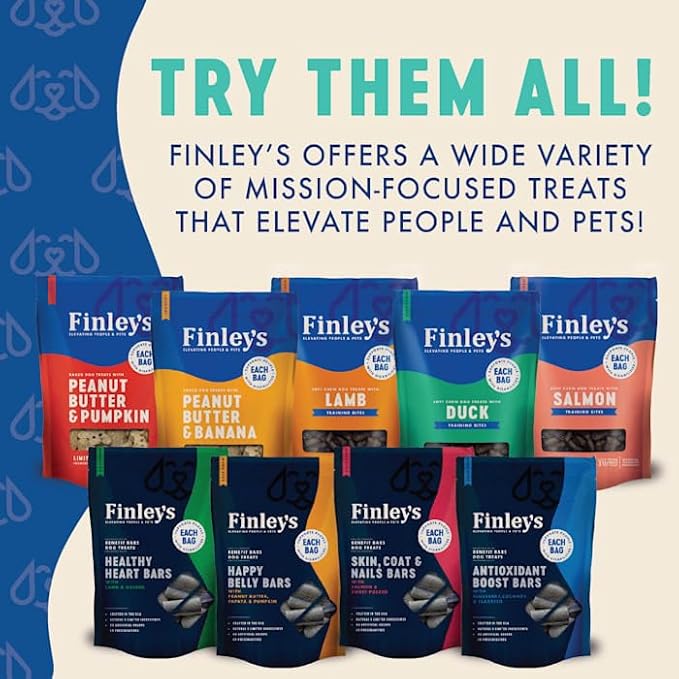 Finley's Blueberry Coconut Dog Biscuit Treats, All Natural, Limited Ingredient Dog, 12 Ounce (Pack of 1)