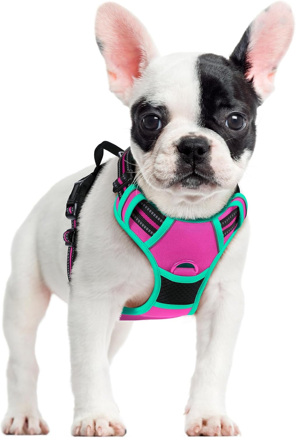 rabbitgoo Dog Harness No Pull with 2 Leash Clips, Adjustable Soft Padded, Reflective Oxford No Choke Pet Vest with Easy Control Handle for Large Dogs, Hot Pink & Turquoise, S
