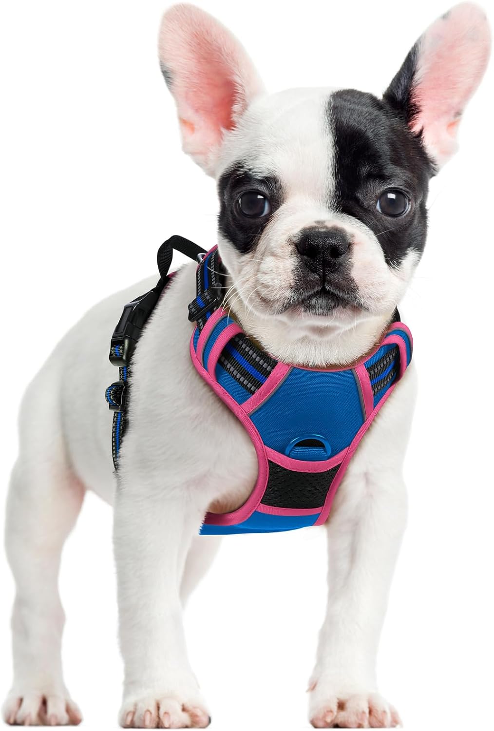 rabbitgoo Dog Harness No Pull with 2 Leash Clips, Adjustable Soft Padded, Reflective Oxford No Choke Pet Vest with Easy Control Handle for Large Dogs, Blue & Hot Pink, S