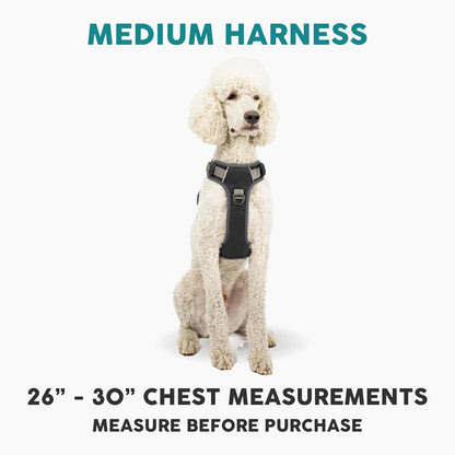Embark Adventure Dog Harness, Reflective Trim No Pull Dog Harness Medium Sized - Military Grade Nylon, Front Clip with Gel Lined Handle. Soft & Padded Puppy Harnesses for Any Breed