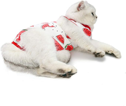 Cat Professional Surgical Recovery Suit,E-Collar Alternative for Cats Dogs,After Surgery Wear, Pajama Suit,Home Indoor Pets Clothing (S(3.3-5.5lbs), Watermelon)