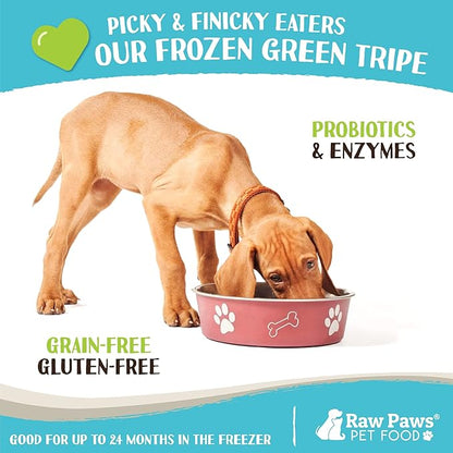 Raw Paws Signature Pet Food for Dogs & Cats - Green Beef Tripe, 1-lb Rolls (20 Pack) - Fresh Pet Food Made in USA, Green Beef Tripe Dog Food - Natural Dog Food Rolls, Raw Frozen Dog & Cat Food
