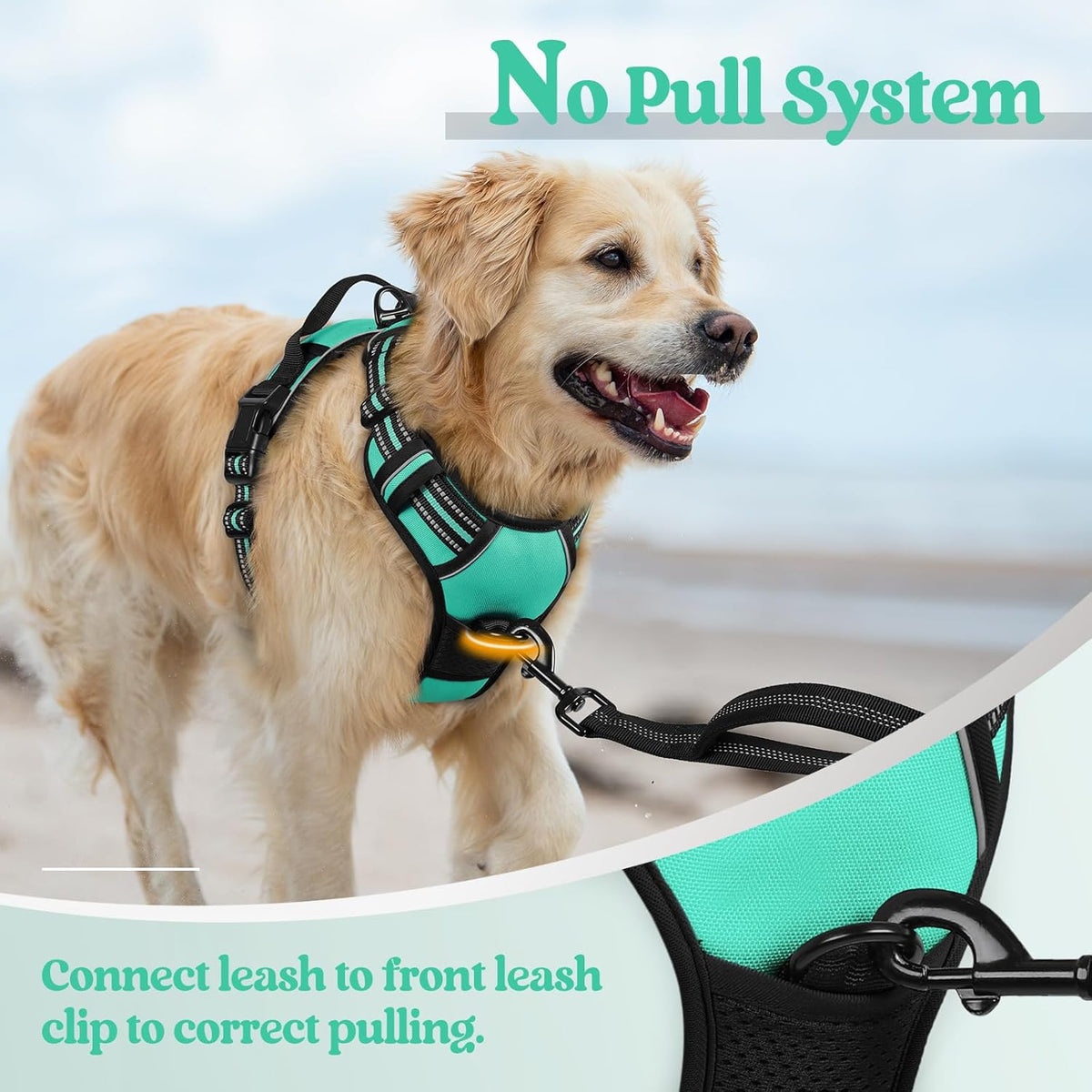 rabbitgoo Dog Harness No Pull with 2 Leash Clips, Adjustable Soft Padded, Reflective Oxford No Choke Pet Vest with Easy Control Handle for Small Dogs, Turquoise, S