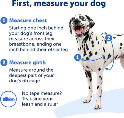 PetSafe Easy Walk Harness, No Pull Dog Harness, Royal Blue, Large | Patented Martingale Loop Gives Gradual Shoulder Pressure to Stop Pulling, Front-Chest Leash Clip Prevents Gagging