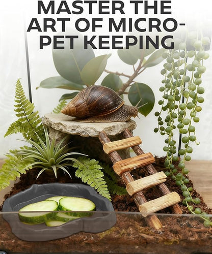 2Pcs Snail Food and Water Bowl, Reptile Water Dish and Food Bowl, Natural Design Terrarium Feeding Dish for Garden Snails, Hermit Crab, Lizard, Frog, Gecko (Black)