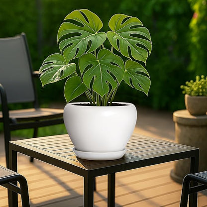 Deep Dream 8 Inch Plant Pot - Ceramic Planter with Drainage Hole and Trays, Modern Round Flower Pot, Planters for Indoor Outdoor Plants, Home Garden Decor, White