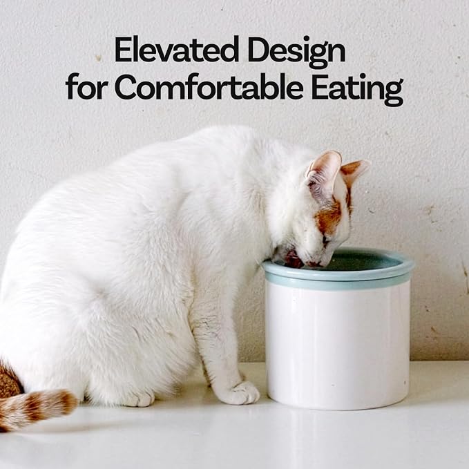 Hello Bowl Elevated Ceramic Cat Bowl with Stand, Raised Whisker-Friendly Feeding Bowl for Cats & Small Dogs, Patented Design, Made in Korea (White, Round Only/Wet)