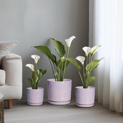 Eightpot Ceramic Flower Pots, 8 Inch Plant Pots Indoor Outdoor, Round Planter with Drainage Hole and Tray, Boho Planter, Decorative Pot for Plants, Apartment Decor, House Warming Gifts, Purple