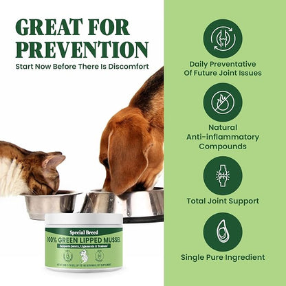 Green Lipped Mussel Powder for Dogs & Cats - 100% New Zealand Green Lipped Mussels - Natural Hip & Joint Supplement for Joints, Tendons, Ligaments, Muscles - 50 Grams - Up to 166 Servings