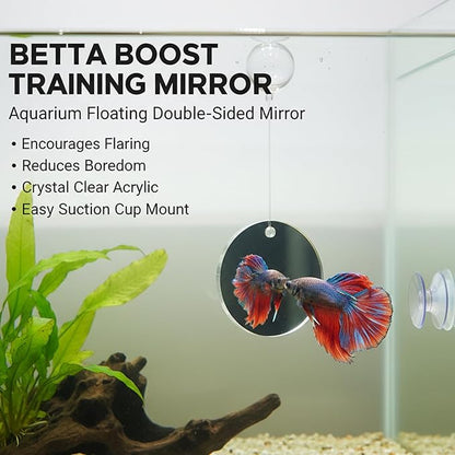 Betta Fish Tank Accessories, 3-Piece Set with 2 Training Rings and 1 Mirror with Floating Ball, Plastic Betta Fish Toys for Aquarium Enrichment