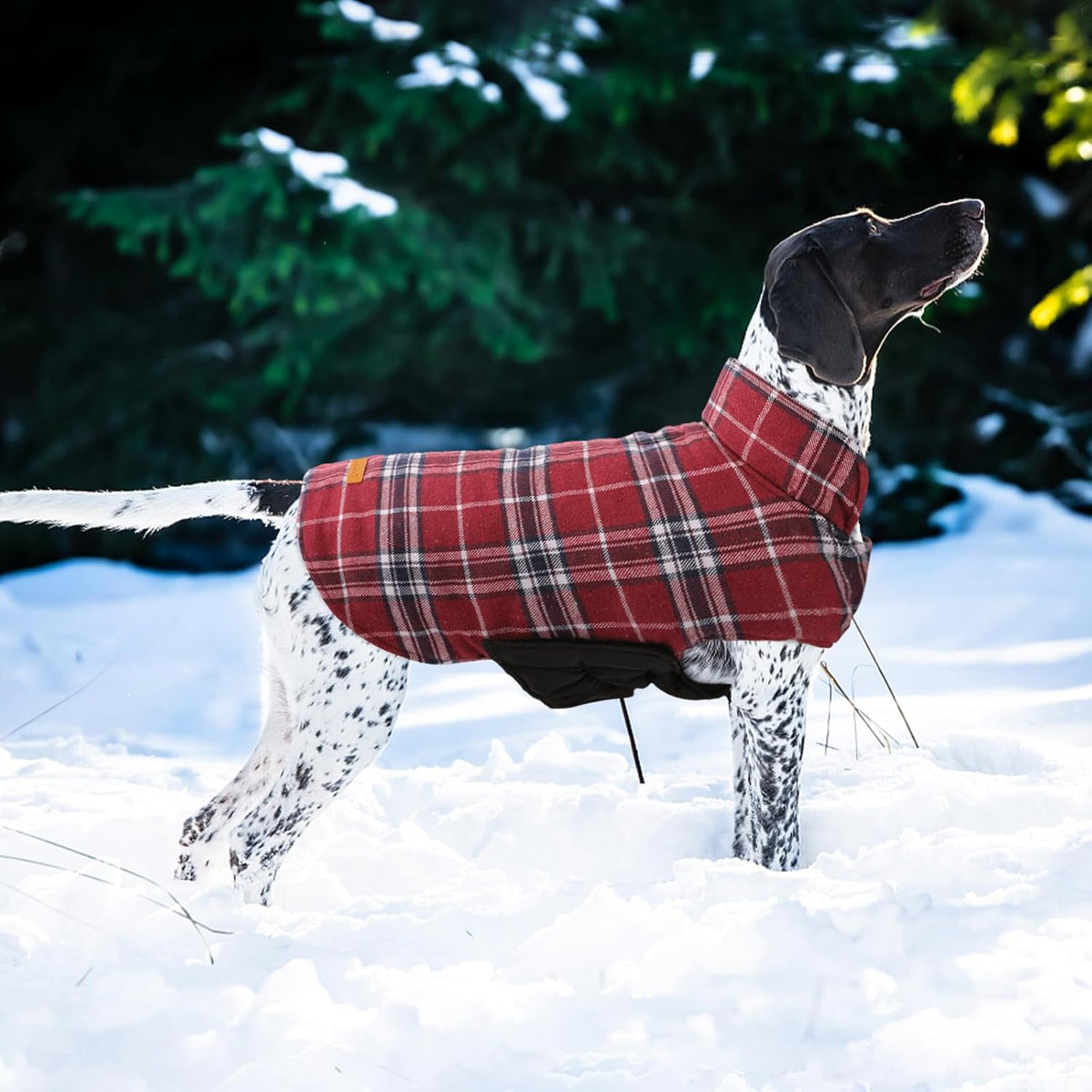 Kuoser Waterproof Dog Coat, Reversible Dog Jacket for Small Dogs, Adjustable Durable Doggie Winter Coat Warm Cozy Puppy Cold Weather Apparel from Small to Large Breed, Red S