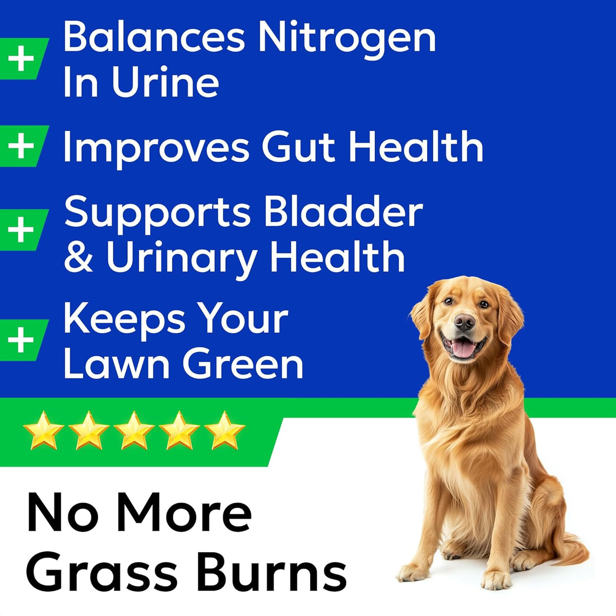 BARK&SPARK Green Grass Chews - Pee Grass Spot Saver Caused by Dog Urine - Urine Neutralizer for Lawn, Gut Health Probiotics & Digestive Enzymes,Lawn Burn from Dog Urine, Grass Burn Spot Chews (240Ct)
