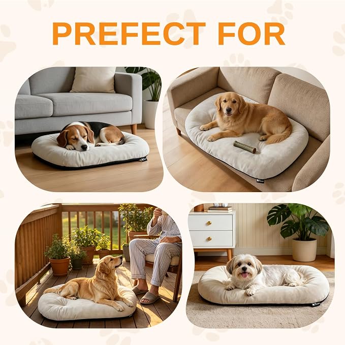 Washable Oval Dog Bed forX-Large Dogs,Silver-Tipped High-Resilience,Beige | Non-Slip Bottom Prevents Sliding, Soft Plush Short Fur, Machine Washable, Ideal for Crates/Apartments/Cozy Nooks,41"x27"x3.6"