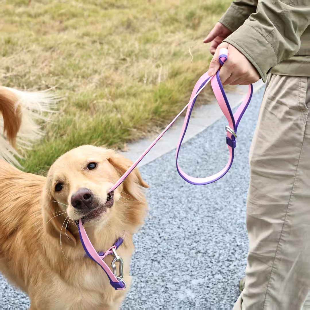 The New Dual-Color Embossed Pet Leash Set Is A Pet Product That Combines Appearance, Fun And Practicality. It Not Only Ensures A Great User Experience With Exquisite Craftsmanship, But Also Injects Mo