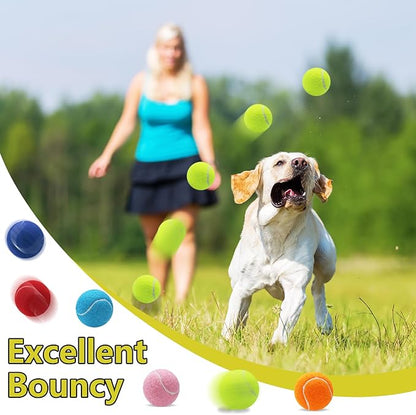 Swingers Squeaky Tennis Balls for Dogs,2.5 inch Training Tennis Balls,Exercise Ball for Pet Dog with Mesh Carry Bag Easy to Transport (Multicolor, 60 Pack)