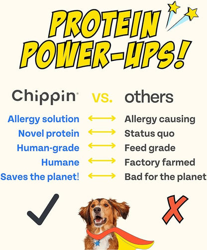 Peanut Butter Dog Biscuits, Pumpkin & Cricket Protein All Natural Dog Treats, Healthy Puppy Treats, Hypoallergenic, Gut Healthy, Sustainable Products, 2-Pack