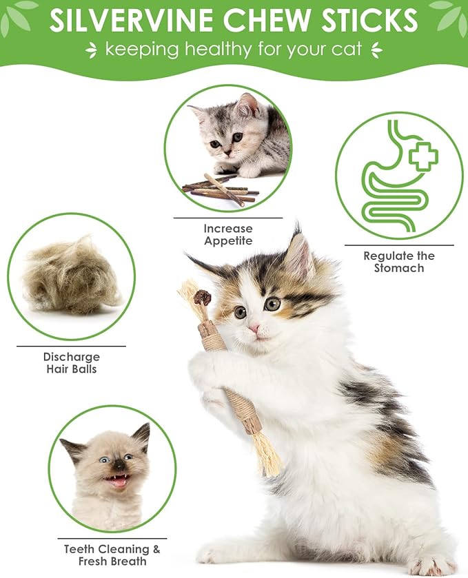 TINDTOP Catnip Chew Toys for Cats, 12 Pack Natural Silvervine Sticks for Kittens Teeth Cleaning, Matatabi Dental Care, Increase Appetite, Calm Cat Anxiety and Stress, Aggressive Chewers Cat Dental Toy