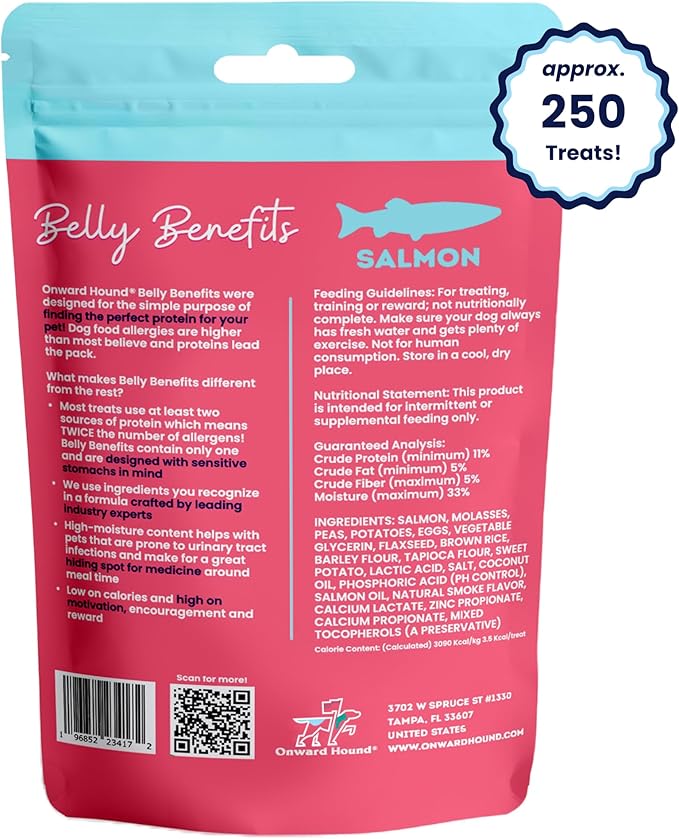 Onward Hound Training Treats for Dogs - Soft Salmon - Low Calorie Dog Training Treats for Sensitive Stomachs with Single Source Premium Protein, Corn Free, & Soy Free Formula - 10 oz