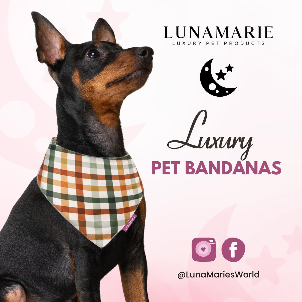 LunaMarie - Luxury Pet Birthday Bandanas -Premium & Silky Poly Fabric | 100% Handmade | Custom Shape Dual Layered (Autumn, Large)