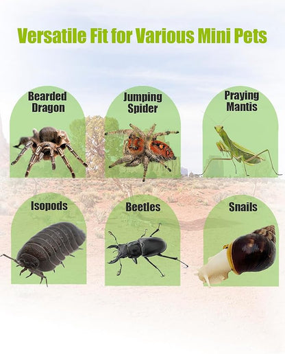 Jumping Spider Enclosure 6”x6”x10”, Transparent Arboreal Tarantula Habitat, Praying Mantis Terrarium Critter Cage for Jumping Spider, Tarantula, Mantis, Snail, Isopods, Beetles, Millipedes