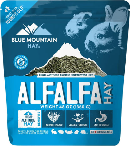 Blue Mountain Hay | Fresh Alfalfa Hay (48 Ounce) | High Leaf Retention | Nutritious High-Altitude Hay Pet Food for Rabbits, Guinea Pigs, Chinchillas, Hamsters, and Other Small Pets