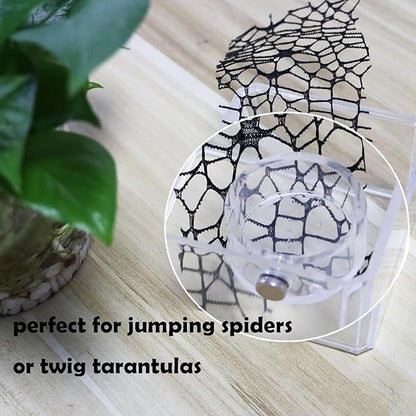 Small Jumping Spider Feeding Dish, Magnetic Tiny Food Dishes Water Dish for Jumping Spider, Tarantula and Other Small Pets,35mm, Clear