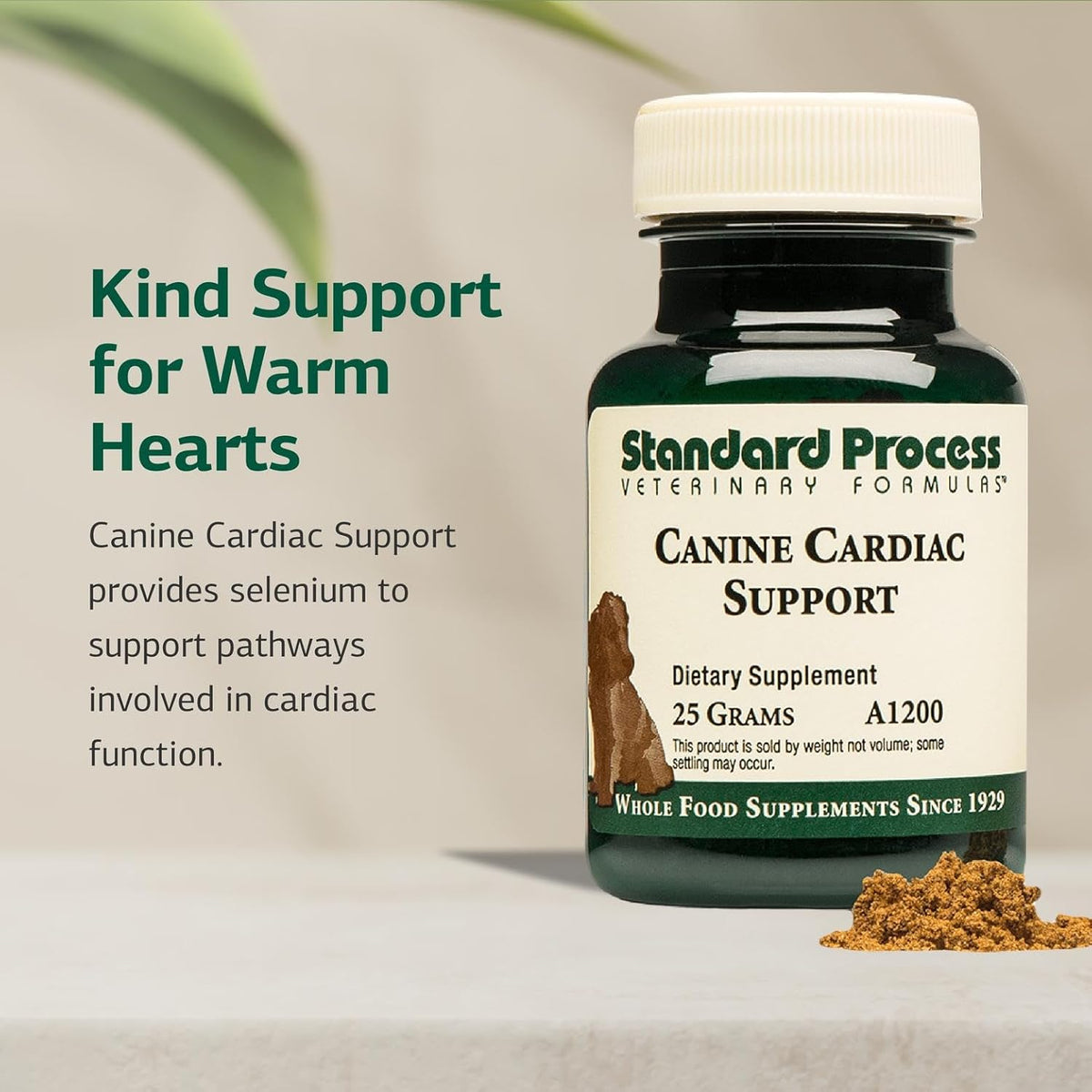 Standard Process Inc. Canine Cardiac Support - Dog Heart Health Supplement - Nutritional Formula to Support Cardiac Function - Pet Health Supplement with Selenium - 25 g