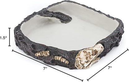 PENN-PLAX Reptology Reptile Fossil Rock Food/Water Dish – Perfect for Bearded Dragons, Geckos, Chameleons, Snakes, Hermit Crabs, and Many More – Large