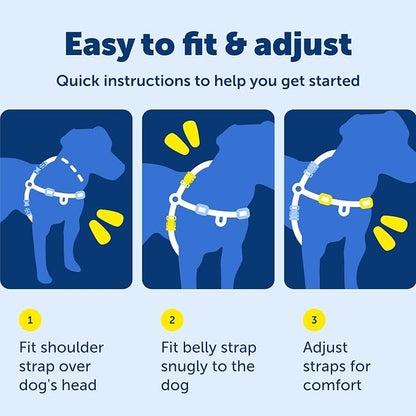 PetSafe Easy Walk Harness, No Pull Dog Harness, Charcoal Gray, Large | Patented Martingale Loop Gives Gradual Shoulder Pressure to Stop Pulling, Front-Chest Leash Clip Prevents Gagging