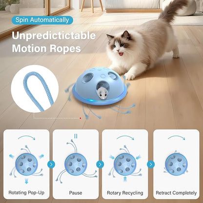 Pawingcat Interactive Cat Toys for Indoor Cats with Plush Mouse and String | Automatic String,Hide and Seek ,Blue