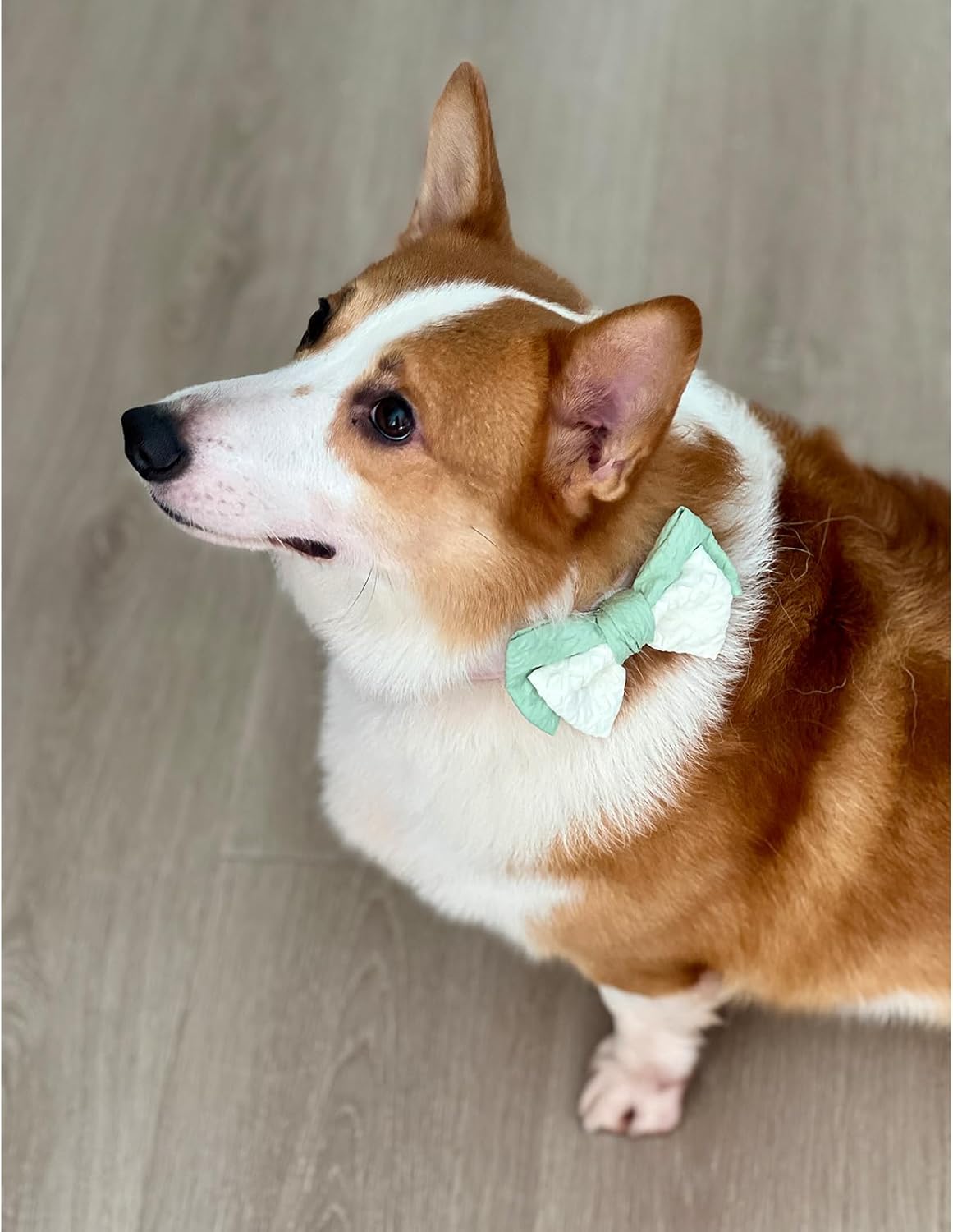 10 PCS Dog Bow Ties, Color Block, Adjustable Pet Bow Tie for Small Medium Large Dog Cat, Collar Attachment Sliding Bowties with Rubber Bands, Grooming Accessories for Wedding Party