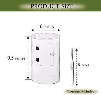 Acrylic Terrarium for Reptiles & Spiders – Small/Medium/Large Leak-Proof Enclosure (Horizontal/Vertical) | Ideal for Tarantulas, Jumping Spiders, Frogs & Geckos(Medium, Round)