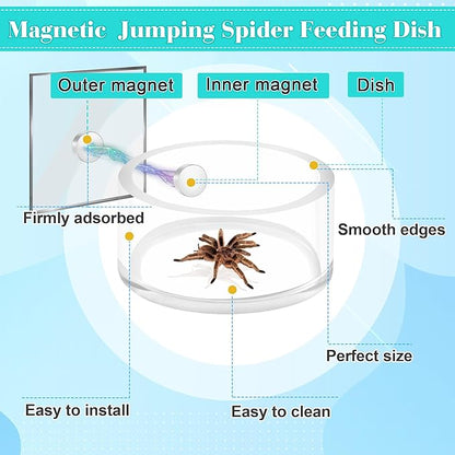2+2 PCS Jumping Spider Magnetic Feeding Dish with Dropper & Tweezer, Magnetic Water Bowl, Reptile Feeding Tongs, Tiny Food Dishes Water Dish for Jumping Spider, Tarantula&Other Small Pets-Coldairsoap