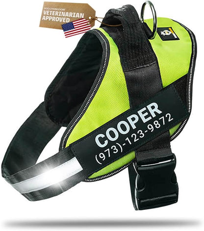 Personalized Dog Harness with Custom Name Patches, Adjustable Reflective No Choke Dog Vest with Handle for Extra Large Dog, Green, XL